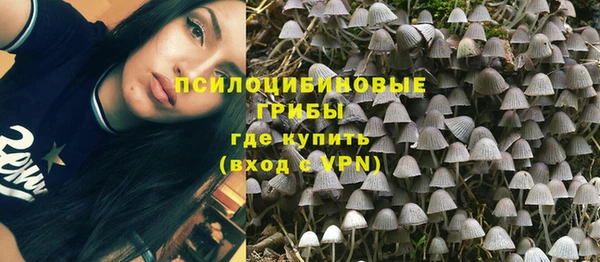 спайс Баксан
